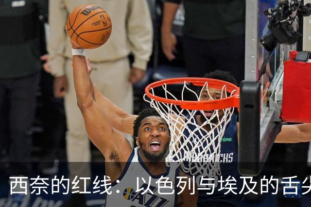 西奈的红线：以色列与埃及的舌尖较量